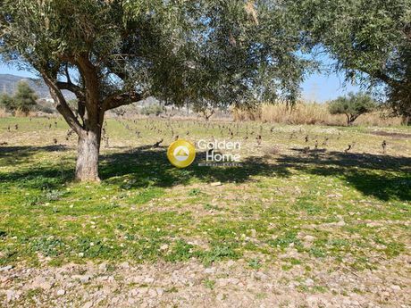 Land plot 1.500sqm for sale-Pallini » Agios Nikolaos