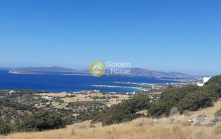 Αγροτεμάχια 11.600 τ.μ. για πώληση