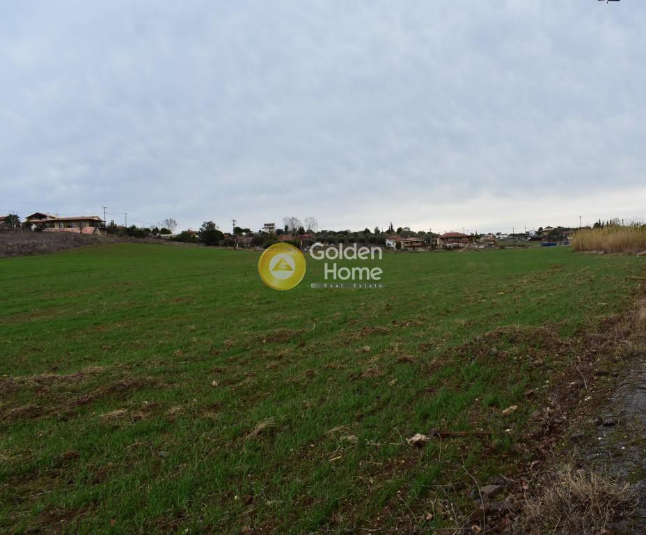 Οικόπεδο 33.495 τ.μ. προς πώληση, Νέα Ποτίδαια