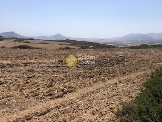 Οικόπεδο 8.200 τ.μ. προς πώληση, Ιστέρνι-thumb-3