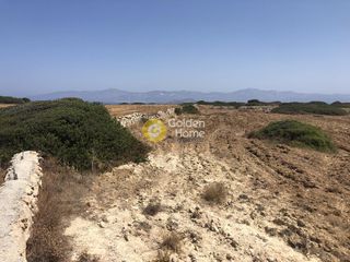 Οικόπεδο 8.200 τ.μ. προς πώληση, Ιστέρνι-thumb-1