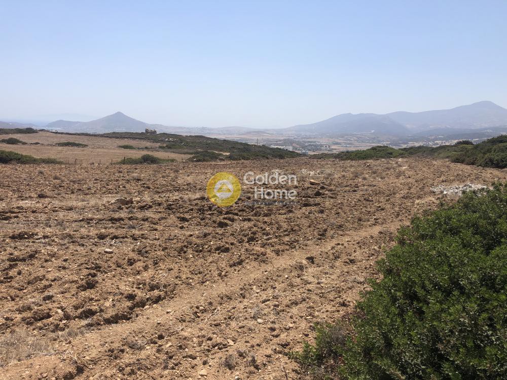 Οικόπεδο 8.200 τ.μ. προς πώληση, Ιστέρνι
