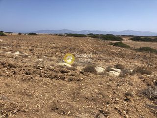 Οικόπεδο 8.200 τ.μ. προς πώληση, Ιστέρνι-thumb-6