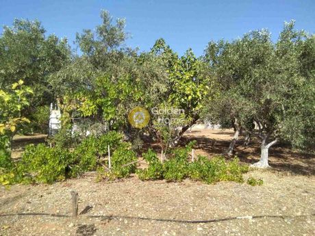 Detached home 25sqm for sale-Marathonas » Center