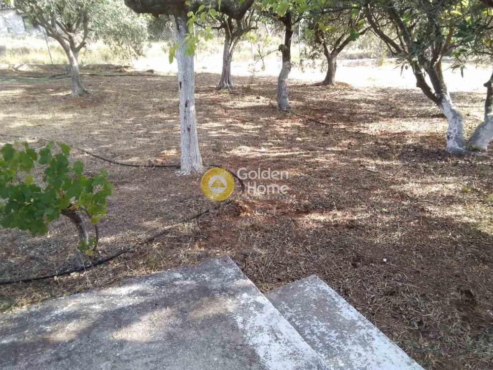 Μονοκατοικία 25 τ.μ. προς πώληση, Κέντρο Μαραθώνα