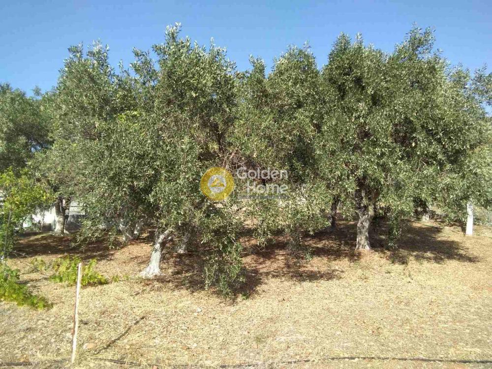Μονοκατοικία 25 τ.μ. προς πώληση, Κέντρο Μαραθώνα