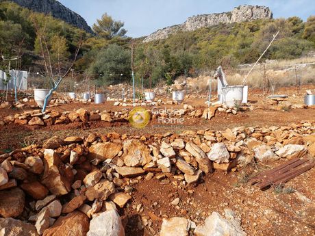 Οικόπεδο 950τ.μ. για πώληση-Παιανία » Ουλίντζι