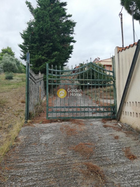 Μονοκατοικία 307 τ.μ. προς πώληση, Σκάλα Ωρωπού