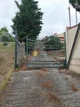 Μονοκατοικία 307 τ.μ. προς πώληση