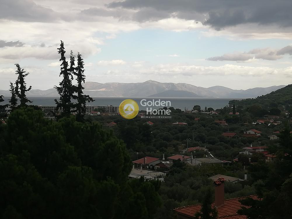Μονοκατοικία 307 τ.μ. προς πώληση, Σκάλα Ωρωπού
