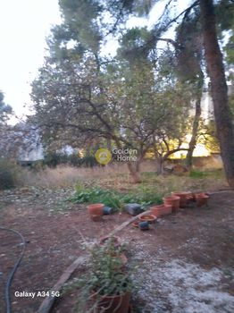 Μονοκατοικία 130 τ.μ. για πώληση