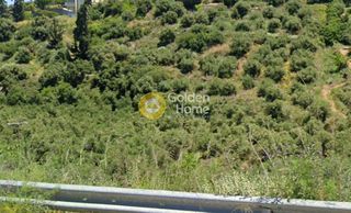 Αγροτεμάχια 1.906 τ.μ. για πώληση