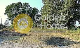 Αγροτεμάχια 6.250 τ.μ. για πώληση, Ν. Σερρών, Νέα Ζίχνη