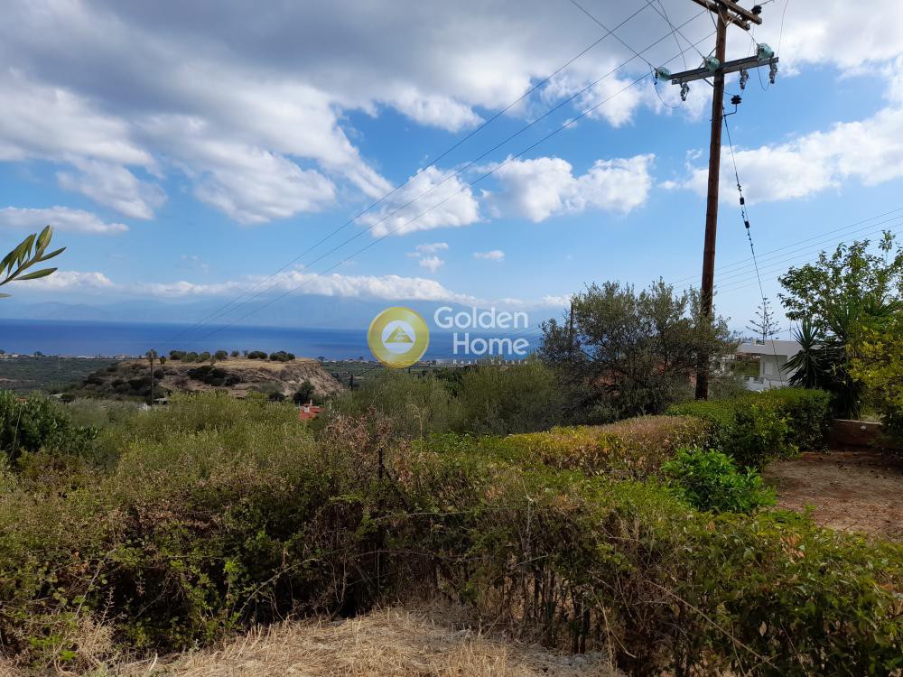 Αγροτεμάχια 1.040 τ.μ. προς πώληση, Θαλερό