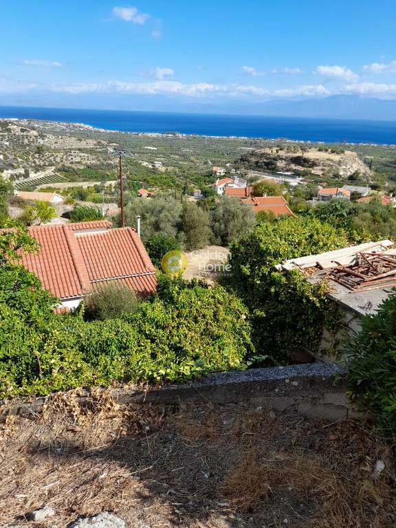 Αγροτεμάχια 1.040 τ.μ. προς πώληση, Θαλερό