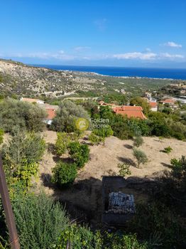 Αγροτεμάχια 1.040 τ.μ. προς πώληση