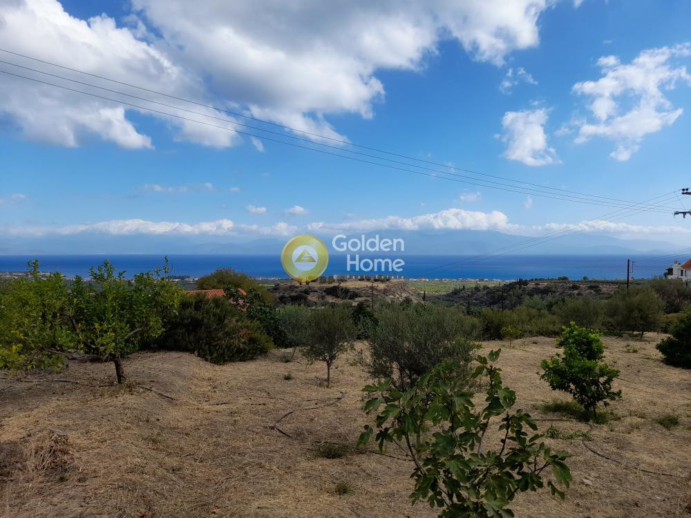 Αγροτεμάχια 1.040 τ.μ. προς πώληση, Θαλερό