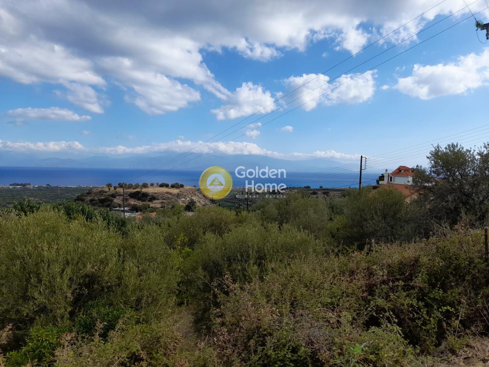 Αγροτεμάχια 1.040 τ.μ. προς πώληση, Θαλερό