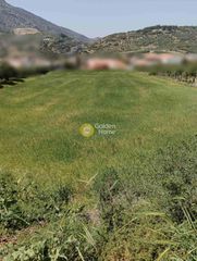 Οικόπεδο 4.218 τ.μ. για πώληση