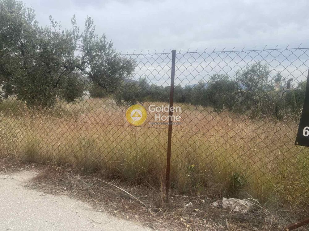 Οικόπεδο 1.676 τ.μ. προς πώληση, Κάτω Αλμυρή
