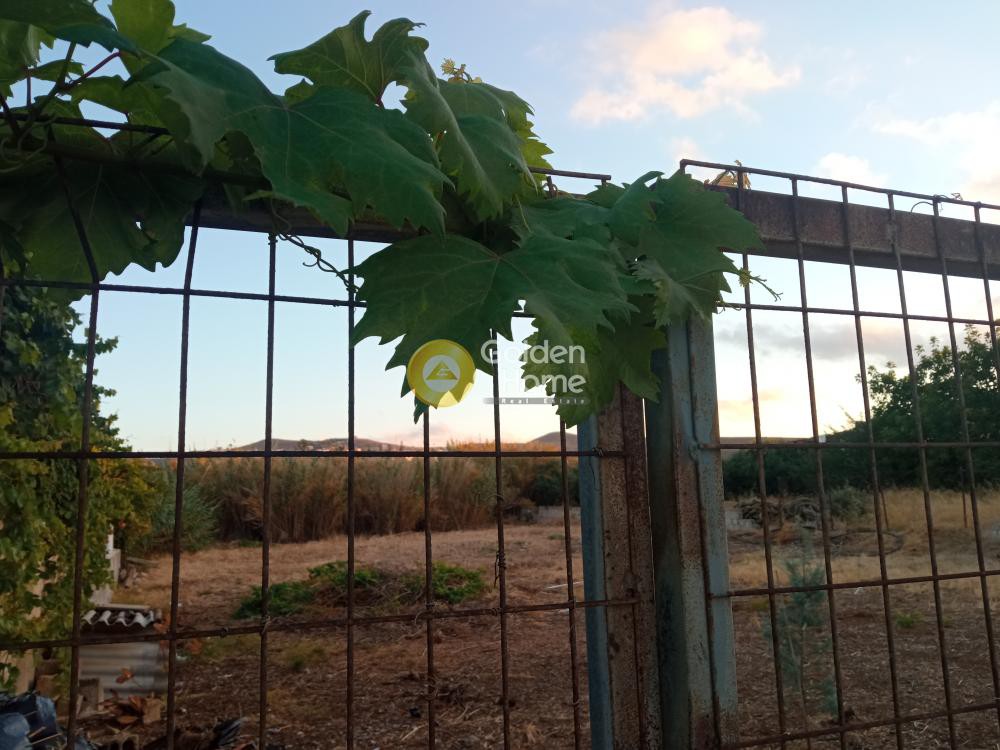 Οικόπεδο 1.056 τ.μ. προς ενοικίαση, Χάνι Κοκκίνη