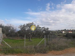 Οικόπεδο 5.000 τ.μ. για πώληση