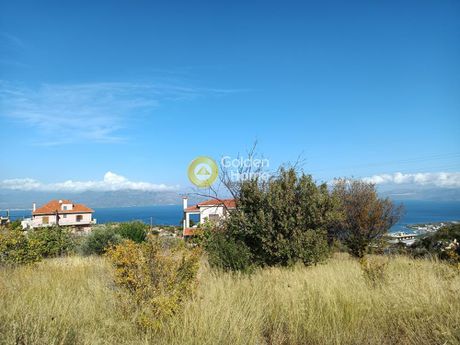 Οικόπεδο 1.800 τ.μ. για πώληση