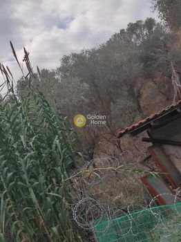Αγροτεμάχια 480τ.μ. για πώληση-Θερμαϊκός » Αγία τριάδα