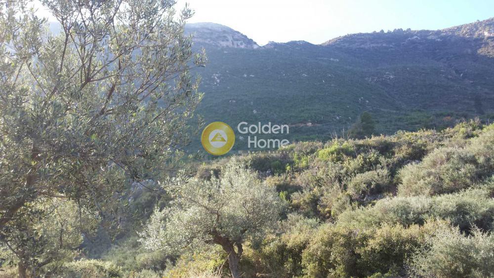 Οικόπεδο 7.918 τ.μ. προς πώληση, Ελληνικό Ευρωστίνης