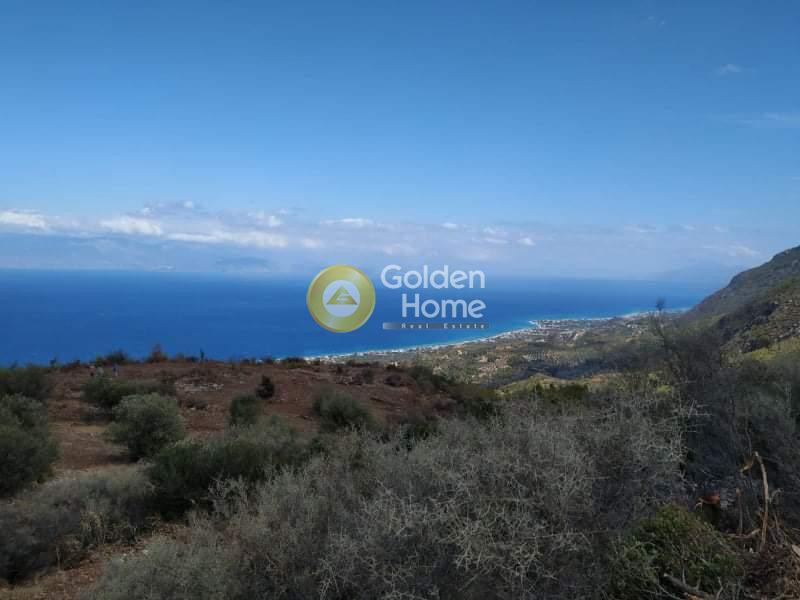 Οικόπεδο 7.918 τ.μ. προς πώληση, Ελληνικό Ευρωστίνης