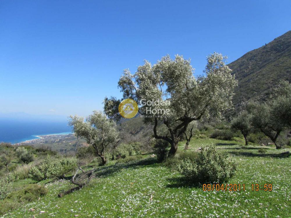 Οικόπεδο 7.918 τ.μ. προς πώληση, Ελληνικό Ευρωστίνης