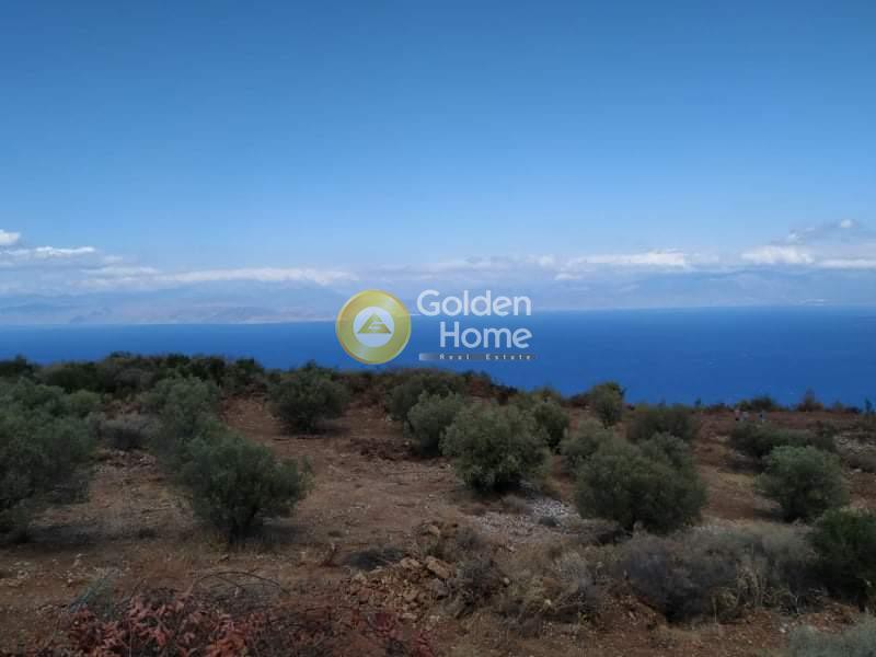 Οικόπεδο 7.918 τ.μ. προς πώληση, Ελληνικό Ευρωστίνης