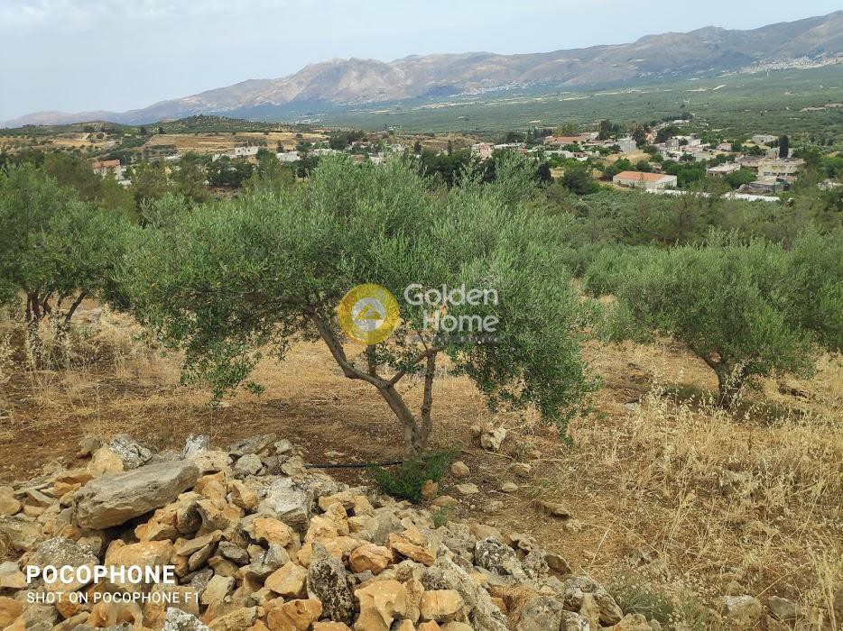 Αγροτεμάχια 4.600 τ.μ. πρός πώληση, Ν. Ηρακλείου, Κοφίνας