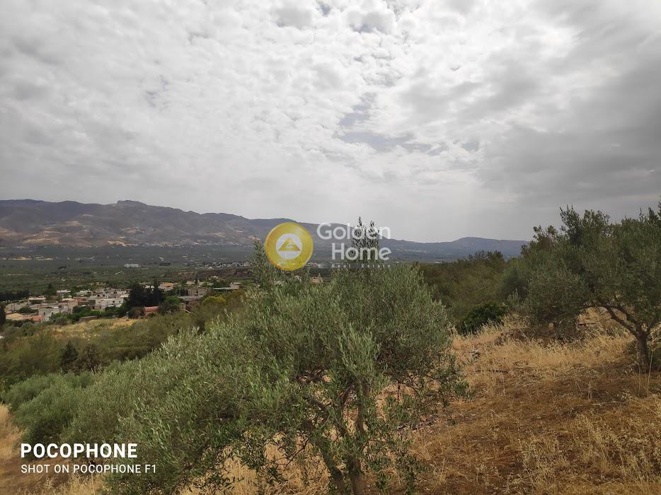 Αγροτεμάχια 4.600 τ.μ. πρός πώληση, Ν. Ηρακλείου, Κοφίνας
