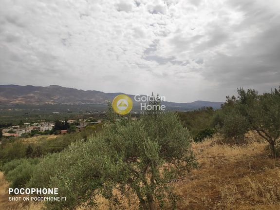 Αγροτεμάχια 4.600 τ.μ. πρός πώληση