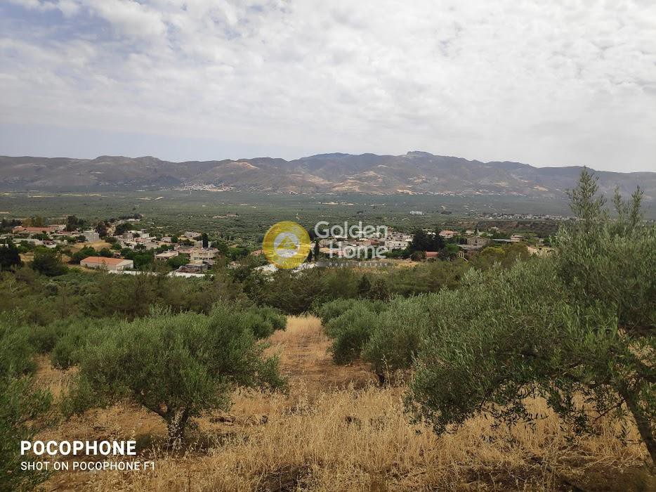 Αγροτεμάχια 4.600 τ.μ. πρός πώληση, Ν. Ηρακλείου, Κοφίνας