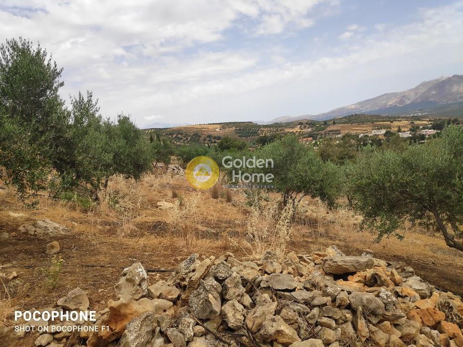 Αγροτεμάχια 4.600 τ.μ. πρός πώληση, Ν. Ηρακλείου, Κοφίνας