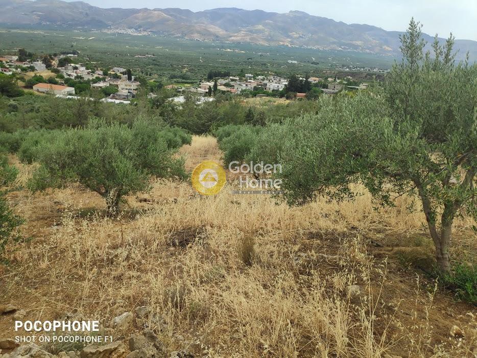 Αγροτεμάχια 4.600 τ.μ. πρός πώληση, Ν. Ηρακλείου, Κοφίνας