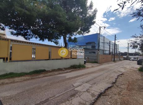 Οικόπεδο 1.170τ.μ. για πώληση-Βάρη- βάρκιζα » Δίλοφο (βλάχικα)