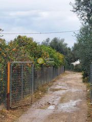 Οικόπεδο 6.000 τ.μ. προς πώληση, Μπάκαρι-thumb-5