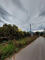 Οικόπεδο 6.000 τ.μ. προς πώληση, Μπάκαρι-thumb-6