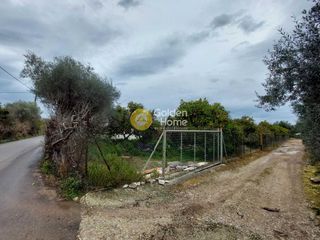 Οικόπεδο 6.000 τ.μ. προς πώληση, Μπάκαρι-thumb-1