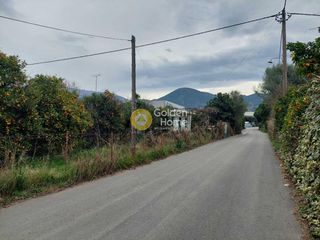 Οικόπεδο 6.000 τ.μ. προς πώληση, Μπάκαρι-thumb-3