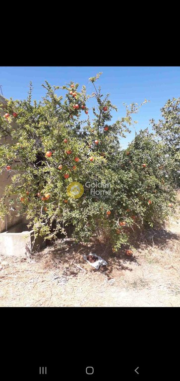 Οικόπεδο 2.000 τ.μ. προς πώληση, Βούτες