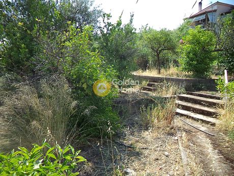 Οικόπεδο 305τ.μ. για πώληση-Διακοπτό » Τράπεζα