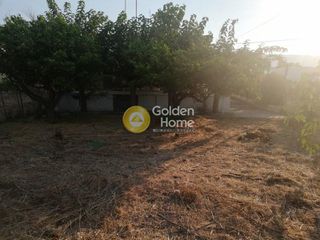 Οικόπεδο 330 τ.μ. προς πώληση, Πλύτρα-thumb-1