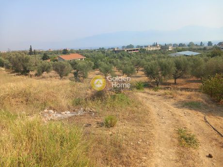 Οικόπεδο 2.700τ.μ. για πώληση-Αιγιάλεια » Άβυθος