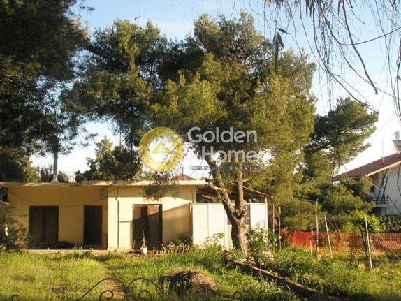 Land plot 1.010 sqm for sale, Athens - East, Nea Makri