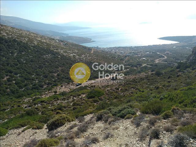 Αγροτεμάχια 1.000 τ.μ. προς πώληση, Ελαφολίμανο
