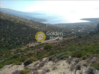 Αγροτεμάχια 1.000 τ.μ. για πώληση, Εύβοια, Στύρα-thumb-3